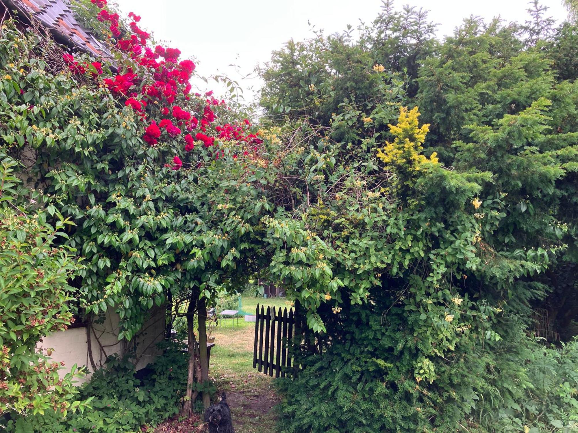 Valley Farmhouse, Westhall Redisham Esterno foto